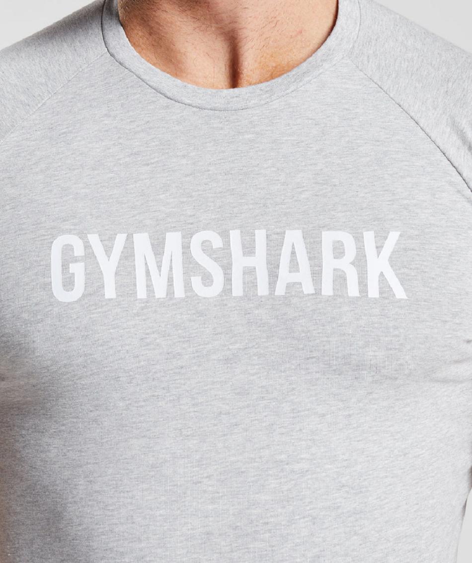 T Shirts Gymshark Apollo Hombre Gris Claro | CO 3365NWY